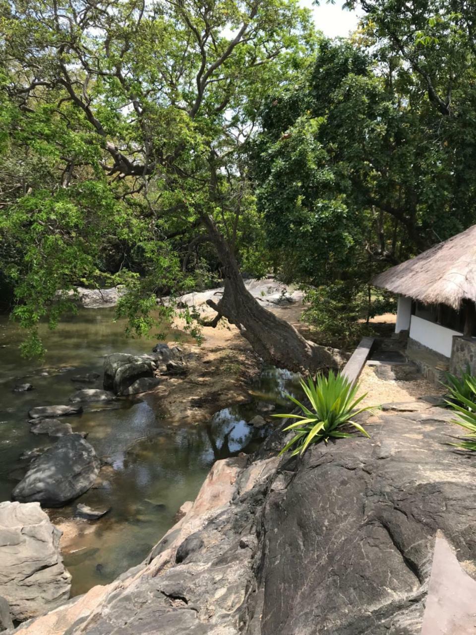Galapita Eco Lodge Buttala Exterior foto