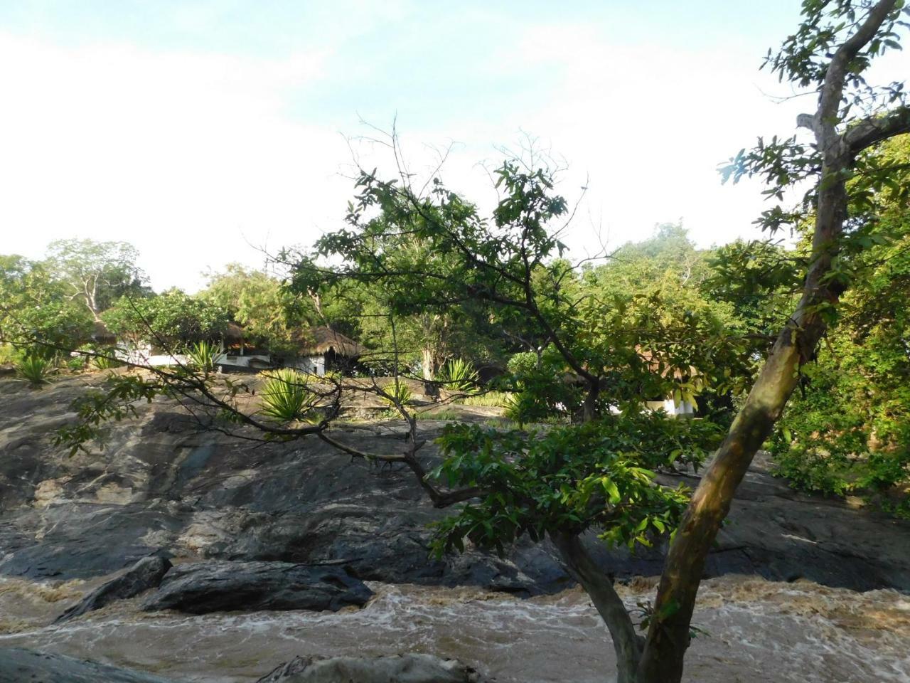 Galapita Eco Lodge Buttala Quarto foto