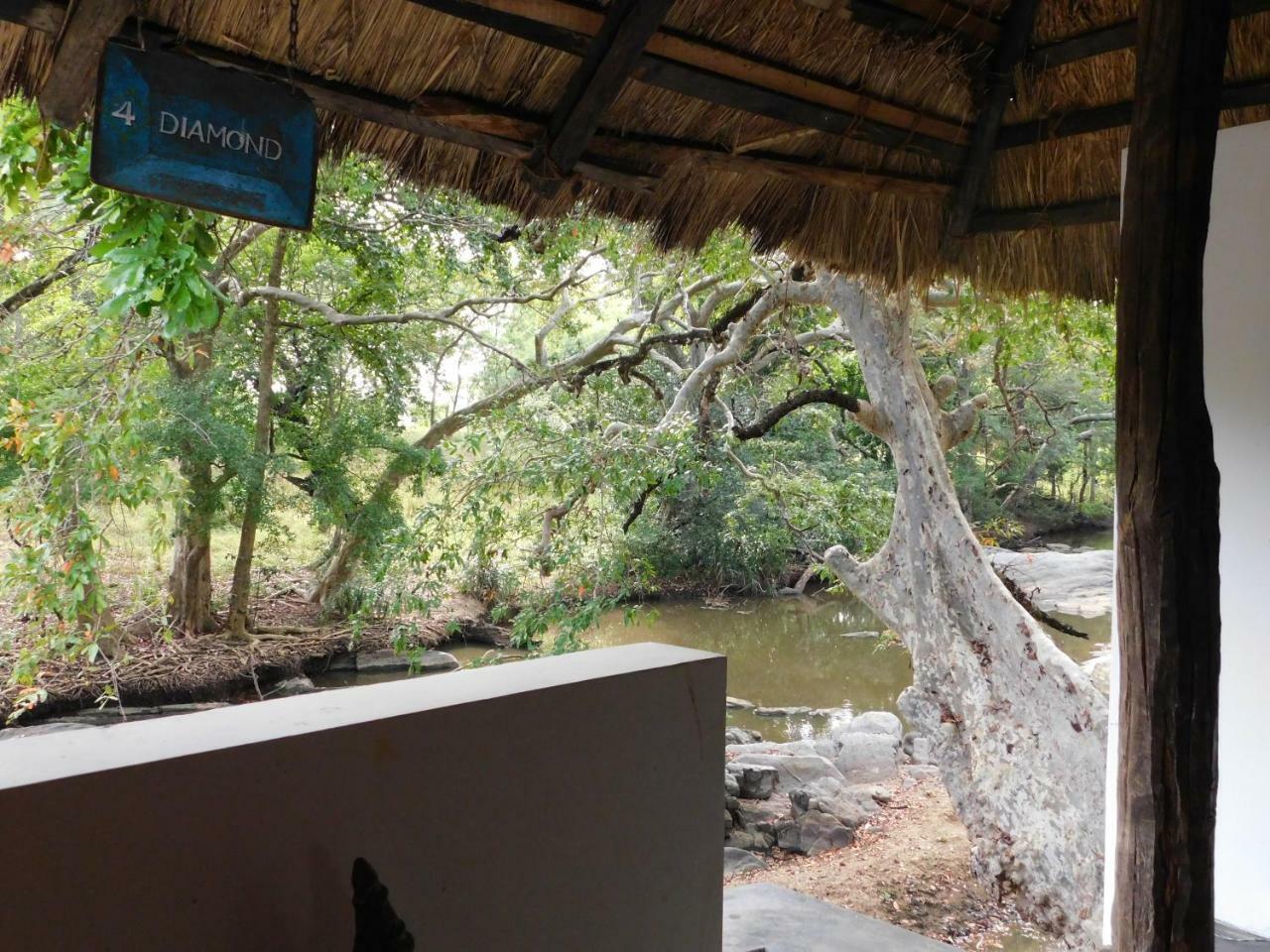 Galapita Eco Lodge Buttala Quarto foto