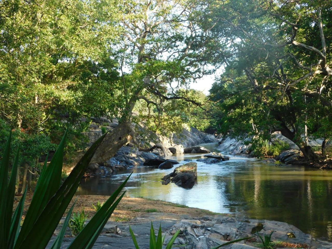 Galapita Eco Lodge Buttala Exterior foto
